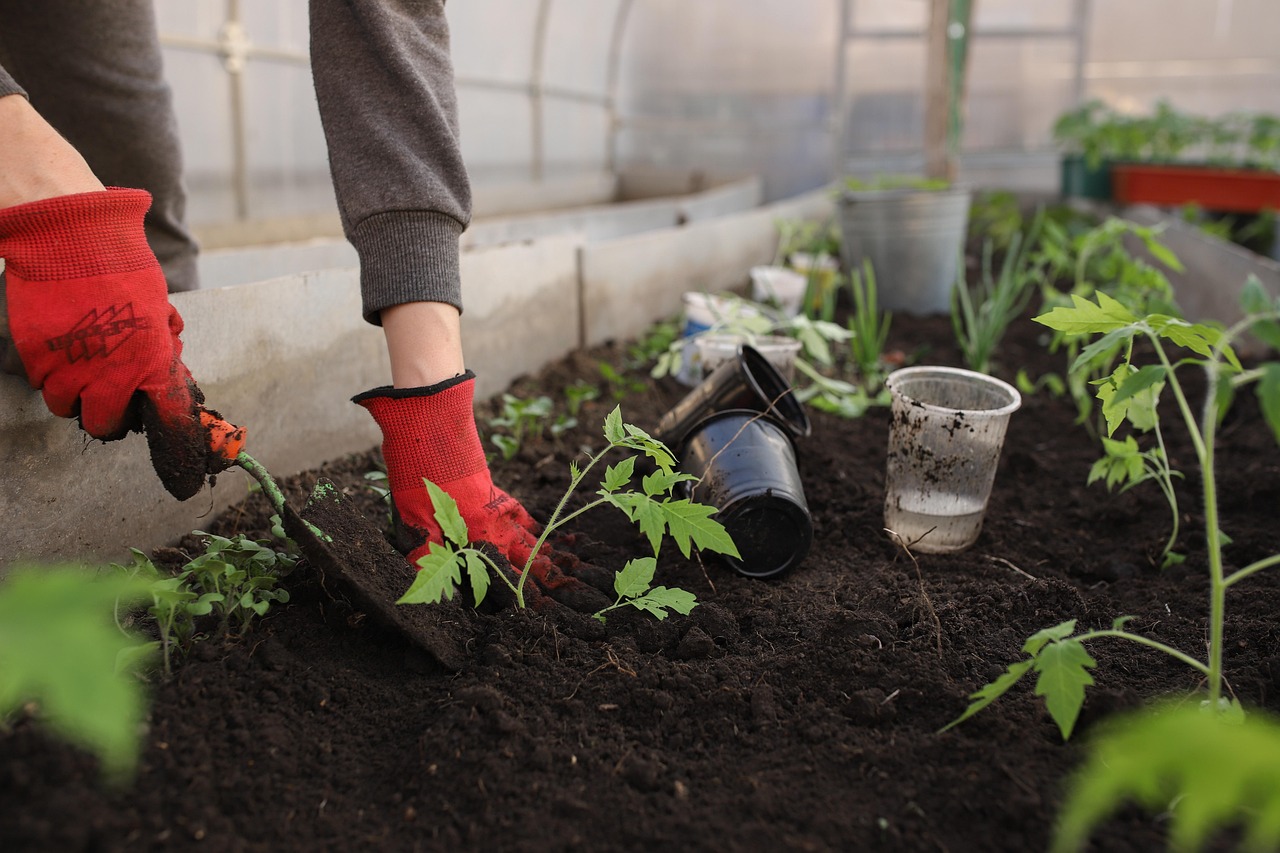 home garden vegetables pots Indonesia